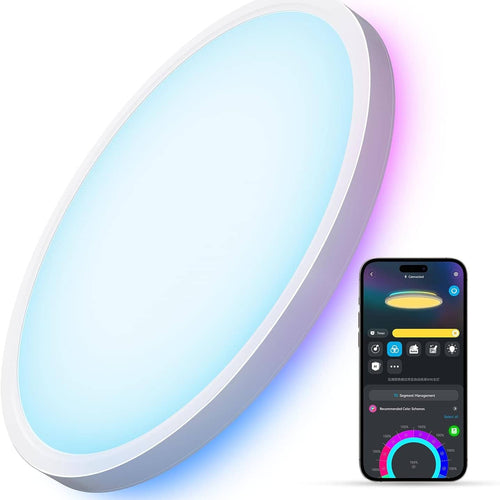 Govee - Smart RGBIC LED Ceiling Light, 2400LM Flush Mount Light Fixture，DIY Colors, Works with Alexa, 12 Inch, 1 Pack - ‎White