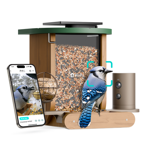 BIRDFY - Smart Bird Feeder Cedar D with Solar Panel, 1080P Camera, Lifetime Free AI Bird ID, Slow Motion, Night Vision, Durable - Brown